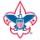 Boy Scout Boy Scout
